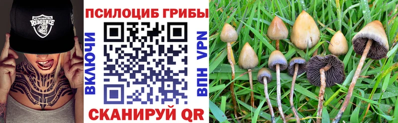 Псилоцибиновые грибы Cubensis  MEGA ссылка  Миньяр 